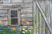 Flowers on the Barn Wall 24 x 36 Acrylic