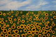 Sunflowers 24 x 36 on canvas,  putty knife