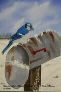 Blue Jay 11 x 14 oil Sold