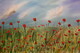 Lest we Forget 24 x 36 oil  with putty knife wrapped canvas