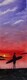 Sunset Surfer 12 x 36  oil wrapped canvas sold
