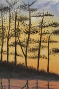 Tall Pines 11 x 14 sold